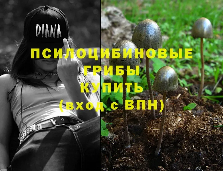 мега ССЫЛКА  купить  сайты  Козьмодемьянск  Псилоцибиновые грибы Psilocybe 